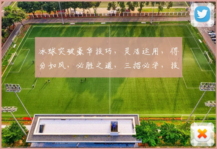 冰球突破豪华技巧，灵活运用，得分如风，必胜之道，三招必学，技巧升级