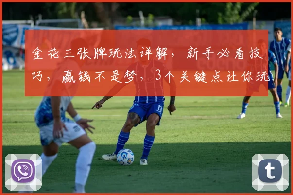 金花三张牌玩法详解，新手必看技巧，赢钱不是梦，3个关键点让你玩转牌局
